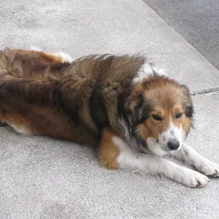 Farmstead Bed & Breakfast