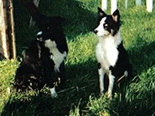 Bed and breakfast Farmstead Beaufort