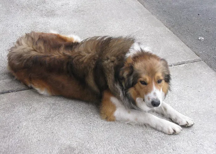 Farmstead Bed and breakfast