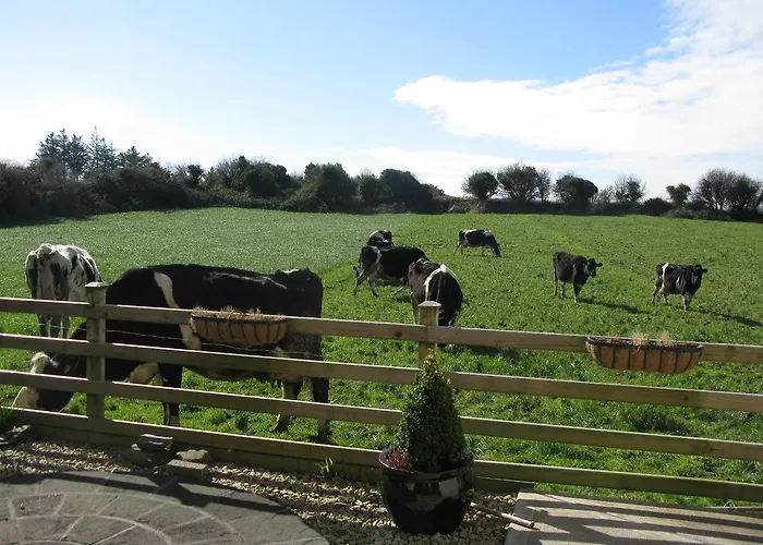 Bed and breakfast Farmstead Beaufort