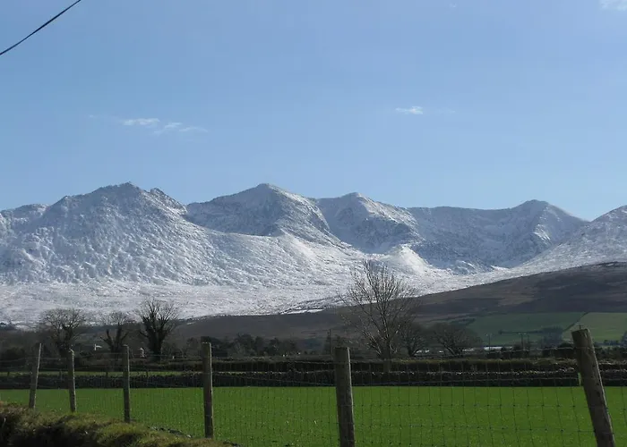 Bed and breakfast Farmstead 3*